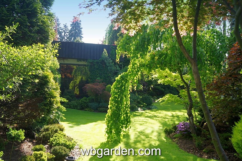 wbgarden spring 47.JPG